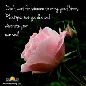 No esperes a que te traiga flores. Plantá tus propio jardín y decorá tu propia alma.