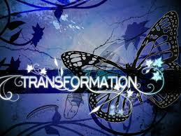 Transformation: Methamorphosis / Transformación: Metamorfosis