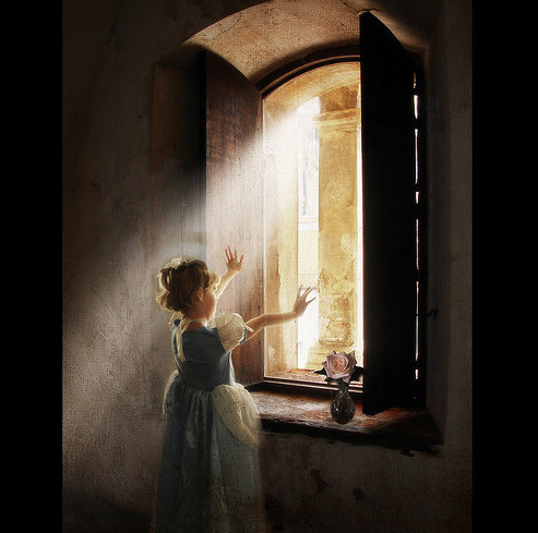 Freedom – Libertad