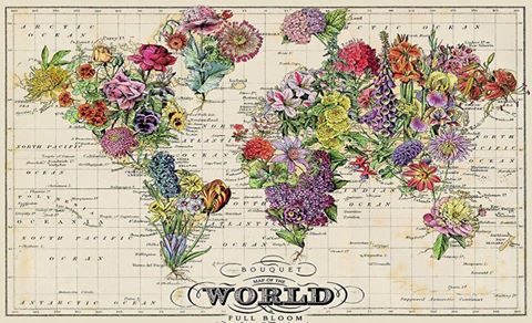 11040857_1010082499023343_1636736110947274956_n