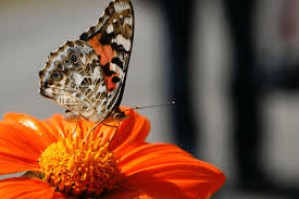 Estrategias para un mundo en&nbsp;crisis