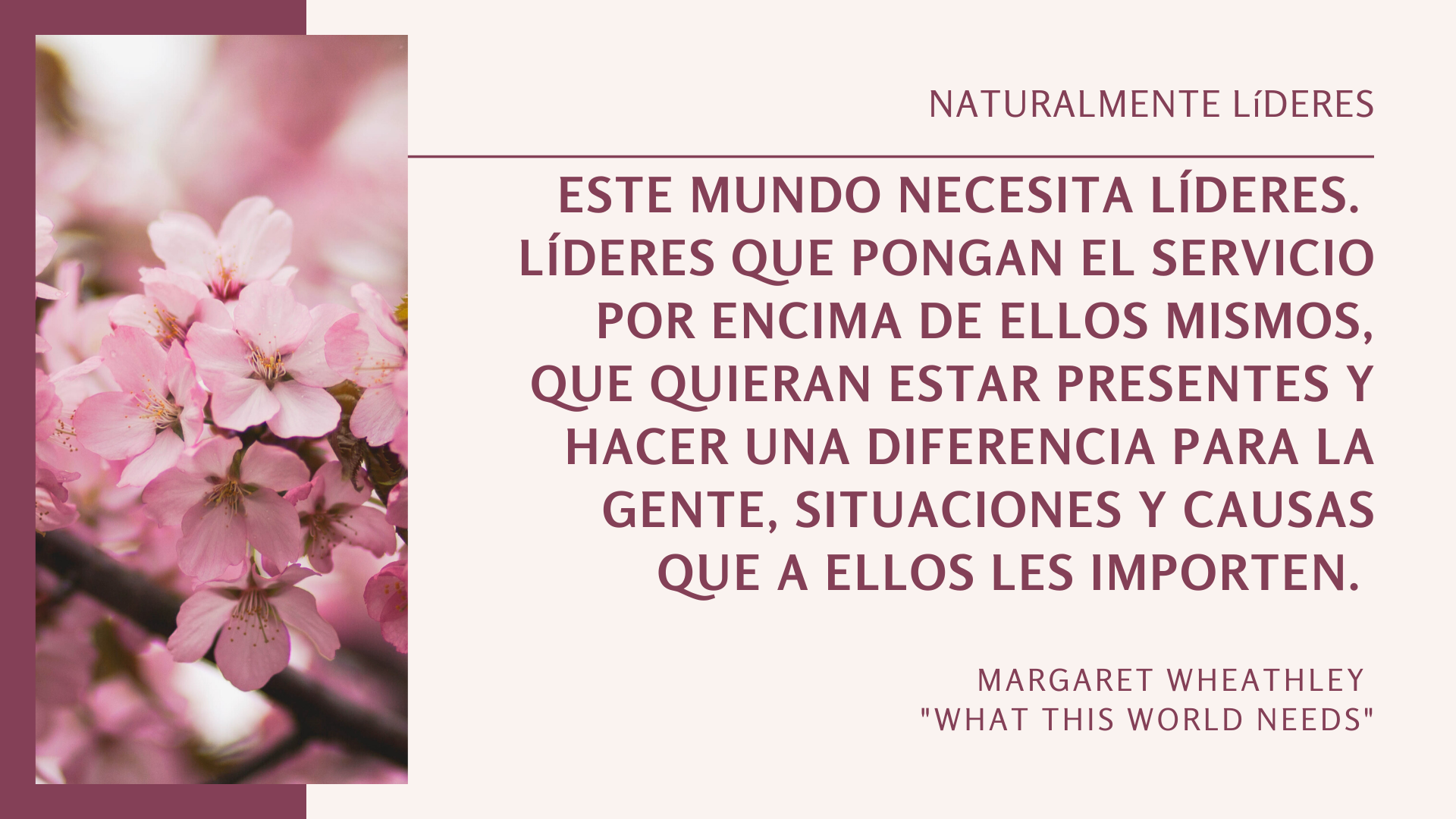 Día 6 – COCreando