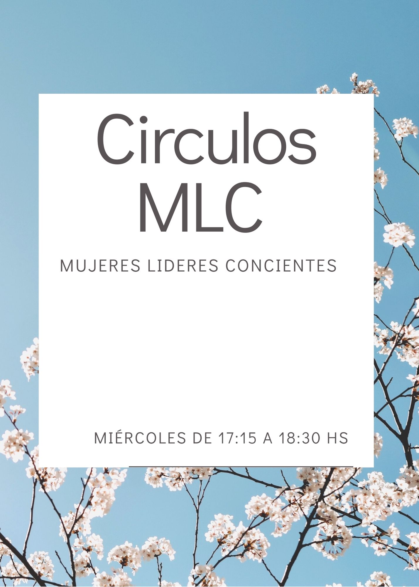 Círculos MLC | Mujeres Líderes Concientes