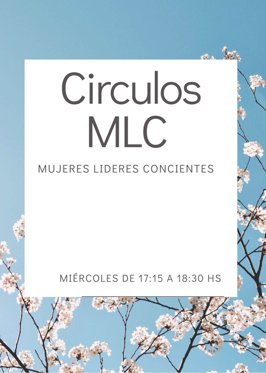 Círculos MLC | Mujeres Líderes&nbsp;Concientes