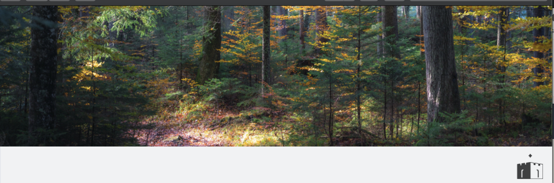 SIENDO TU DON ~ BEING YOUR GIFT